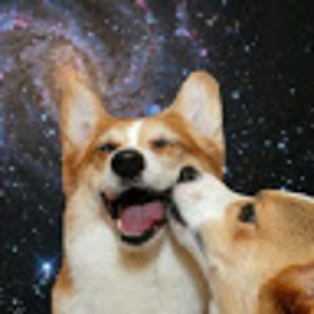 Meet your Posher, Galaxy